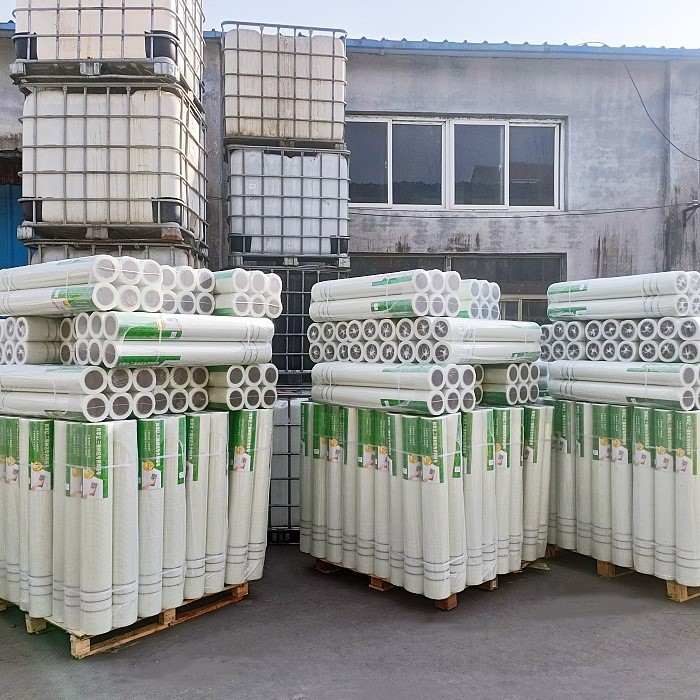 20241226111256 20241226111256